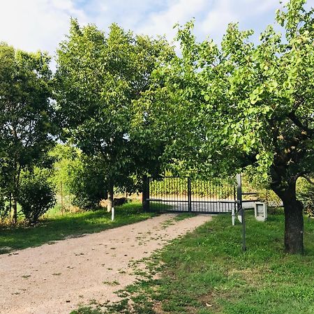 Una Casa Di Campagna Dossobuono Exterior foto