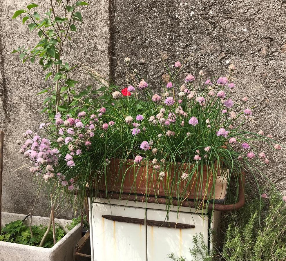 Una Casa Di Campagna Dossobuono Exterior foto
