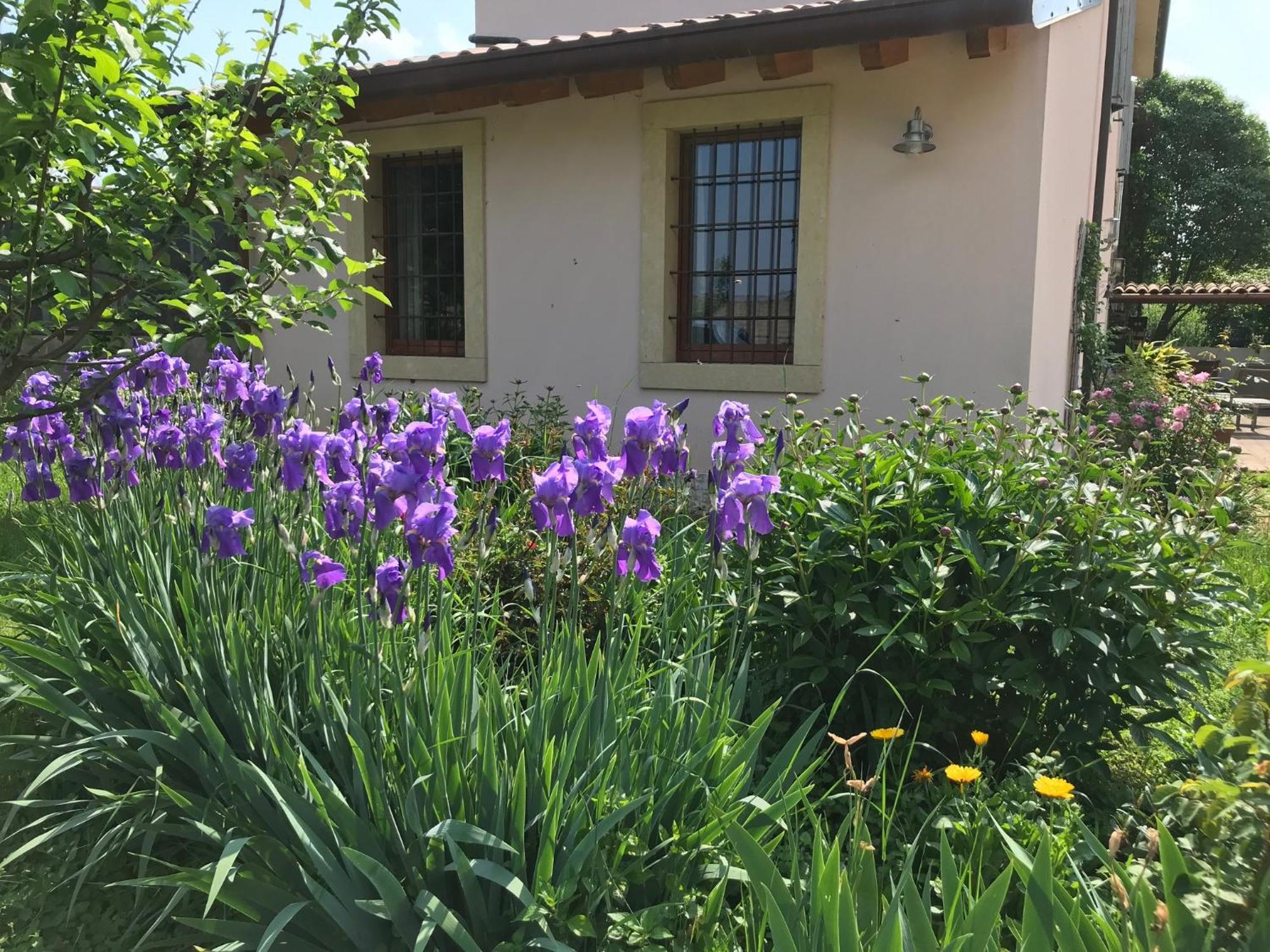 Una Casa Di Campagna Dossobuono Exterior foto
